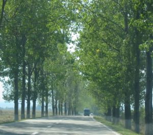 Typical Highway scene