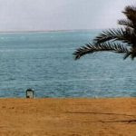 Dead Sea-toddler at beach
