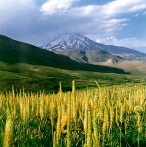 Middle East, Iran This gallery displays the photography