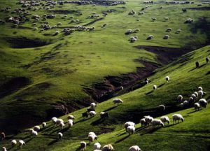 Middle East, Iran This gallery displays the photography