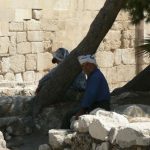 Amman - resting under shade trees