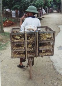 Rural Mai Chau chicken vendor