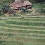 Rural farmhouse and fields