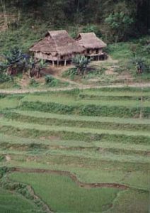 Rural farmhouse and fields