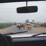 Rural cart crossing main road