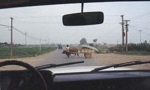 Rural cart crossing main road