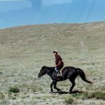 Young shepherd on horseback