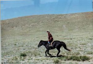 Young shepherd on horseback