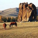 Horses grazing at sunset