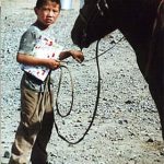 Boy with horse and book