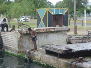 Downtown Kingston - harbor