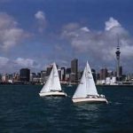Auckland harbor & sails