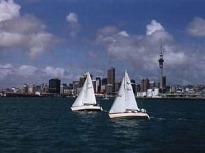 Auckland harbor & sails