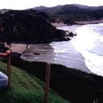 North Island coastline