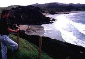 North Island coastline