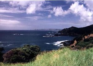 North Island coastline