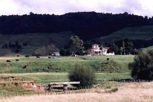 North Island farmhouse