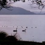 Rotorua Lake