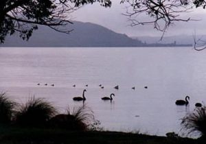 Rotorua Lake