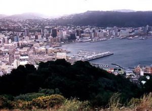 Wellington overview