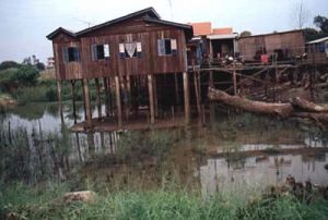 Rural house on poles