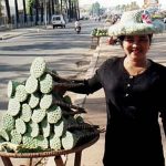 Phnom Penh fruit vendor