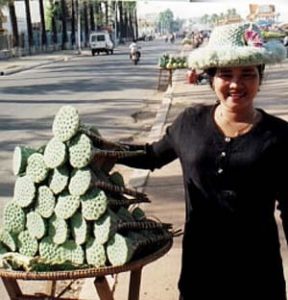 Phnom Penh fruit vendor