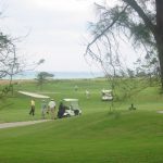 Lawn bowling by the sea