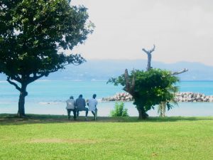 Peaceful park in Montego Bay