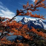 Torres del Paine Park