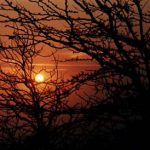 Torres del Paine Park sunset