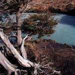 Torres del Paine Park