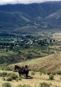 Tucuman 'Tafe de Valle' valley view