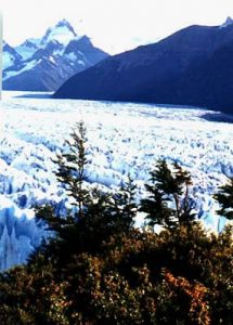 Moreno Glacier from above