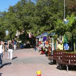 Playa del Carmen is a busy coastal city popular with