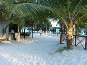 El Paraiso is a little nine-room hotel on the beach