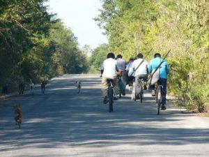 Coba is a tiny village adjacent