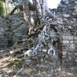 Coba Mayan ruins The ruins