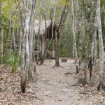 Mexico - Coba Village and Coba Mayan Ruins