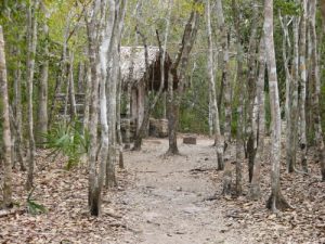 Mexico - Coba Village and Coba Mayan Ruins