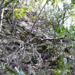 Mexico - Coba Village and Coba Mayan Ruins