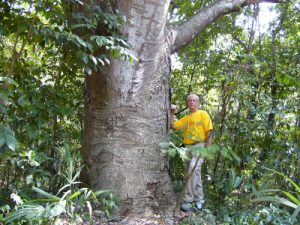 Mexico - Coba Village and Coba Mayan Ruins