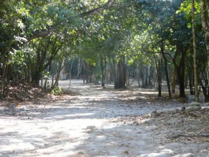 Coba is a tiny village adjacent