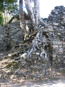 Coba Mayan ruins The ruins