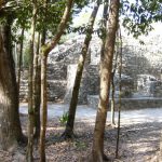 Coba Mayan ruins The ruins