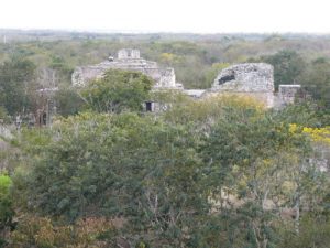 View of Ek' Balam from the Acropolis Hidden by the jungle,