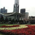 Shanghai-opera/ballet theatre