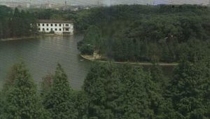 Wuhan-Mao's retreat, overview