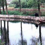 Wuhan-Mao's retreat, lone fisherman