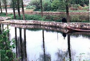 Wuhan-Mao's retreat, lone fisherman